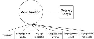 Hispanic/Latino Acculturation Profiles and Telomere Length: Latent Class Analysis on a Nationally Representative Sample